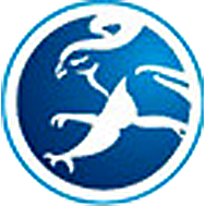 Dennis Eagle