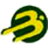 VDL