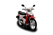 Active (2014 - 2015)