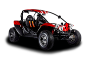 Bug Racer