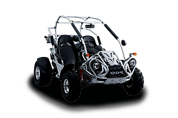 Bug Rider