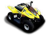 DL 501 (2002 - по н.в.)