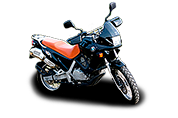F series (1993 - по н.в.)