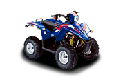 LH 50 ATV (2002 - по н.в.)