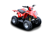 LH 80 ATV (2011 - по н.в.)
