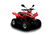 Maxxer (2005 - по н.в.)