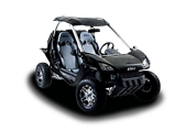 Mini Car (2010 - по н.в.)