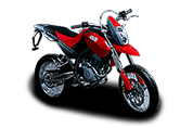 Motard /Enduro 125 (2007 - по н.в.)