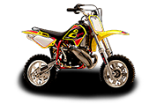 P3-50 (2006 - 2006)