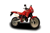 RC 125 (1989 - 1995)