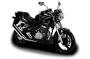 Roadwin (2007 - по н.в.)
