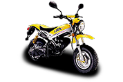 RT (Road Tracer)