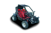 Sahara Buggy