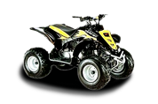Sport (2008 - 2013)
