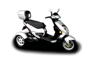 Trippi (2012 - по н.в.)